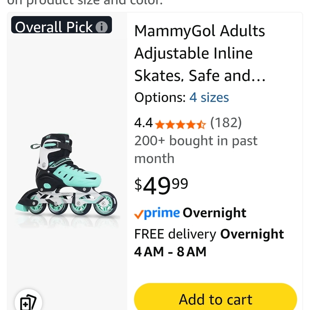 Teal and Black Inline Skates